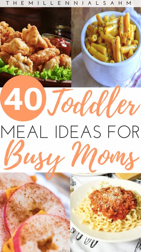 Toddler Meal Ideas