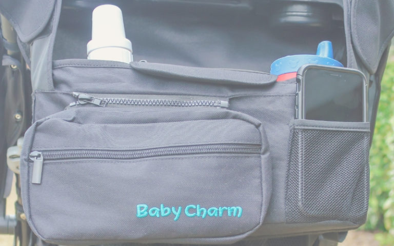 The Only Thing You Need To Stay Organized On The Go – Ft. Baby Charm Stroller Organizer