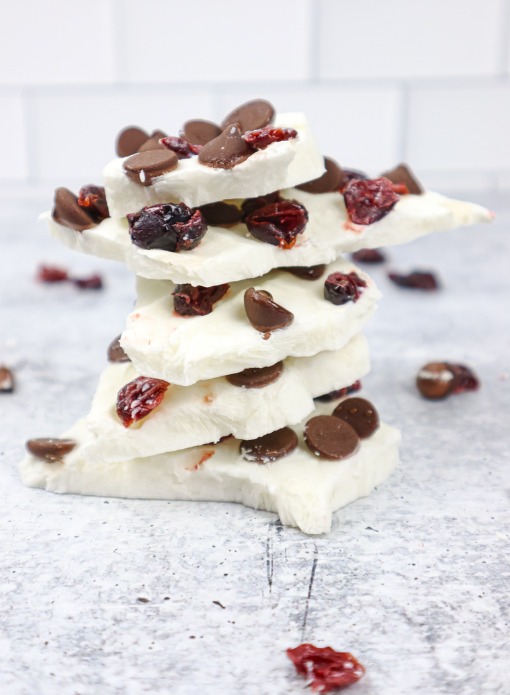 Frozen Yogurt Bark with Dark Chocolate and Cranberries