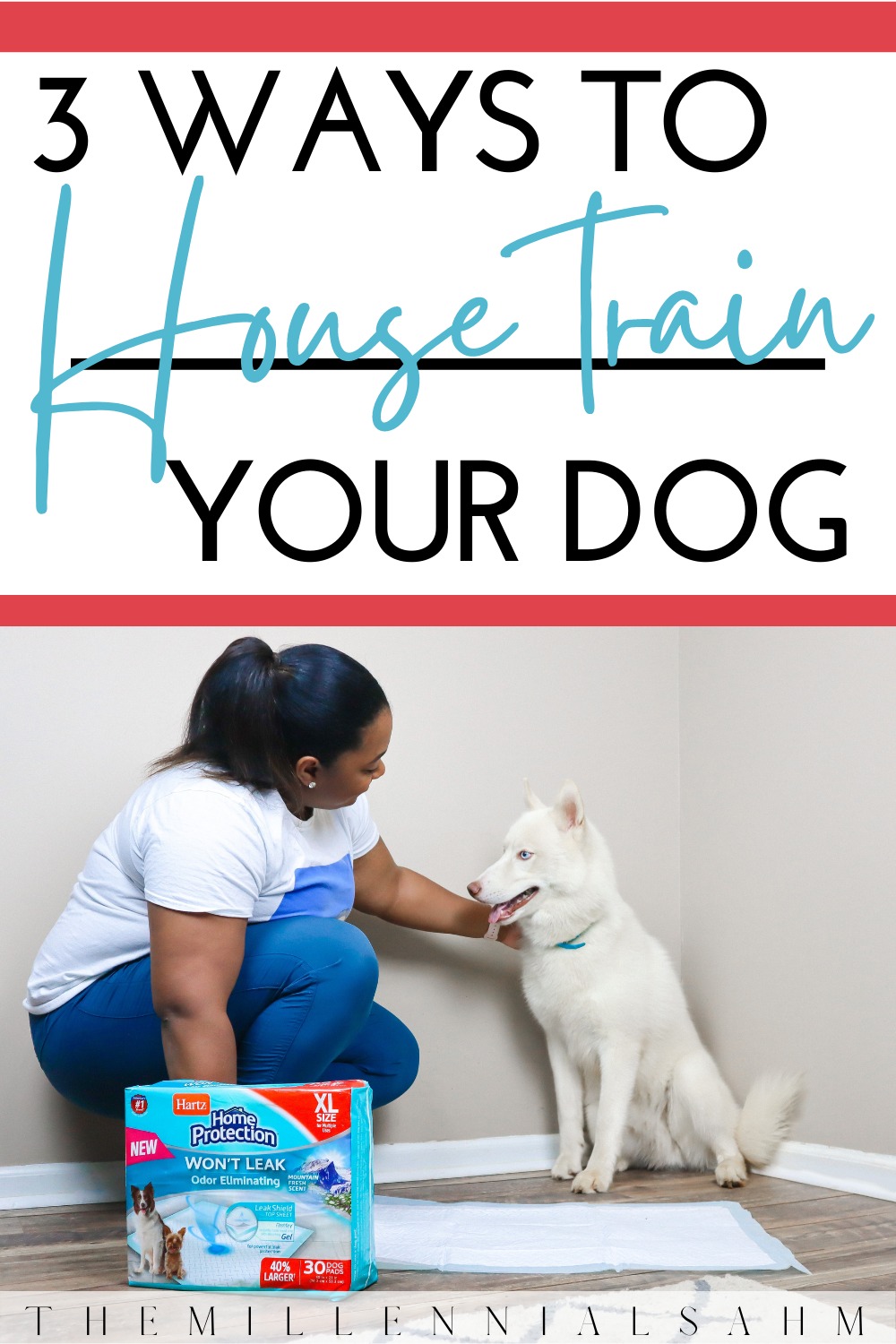 So whether you have a new puppy or an older adult dog, these three tips will help you house train your dog in no time.