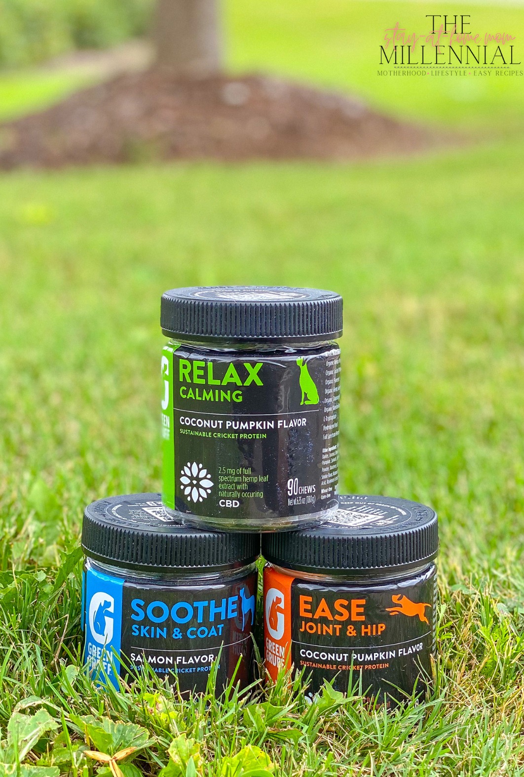 As more and more research is done about CBD for dogs, soon our pups will be able to experience all of the benefits that CBD has to offer.