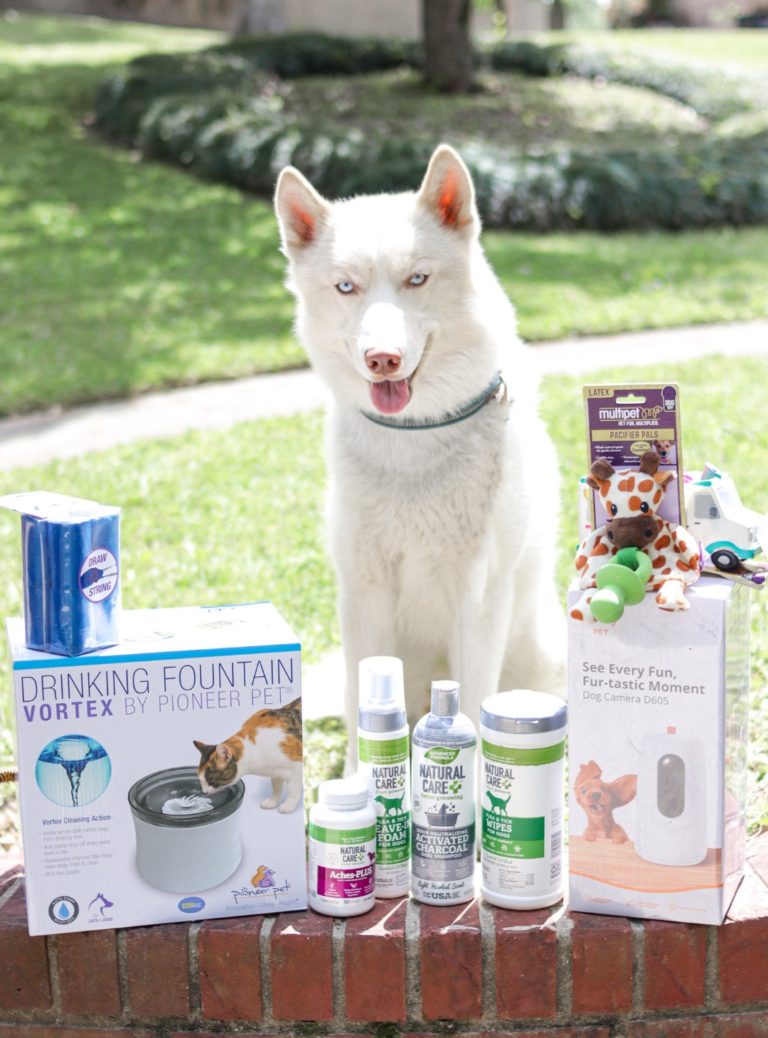 Spring Essentials For Dogs: 8 Must-Have Products
